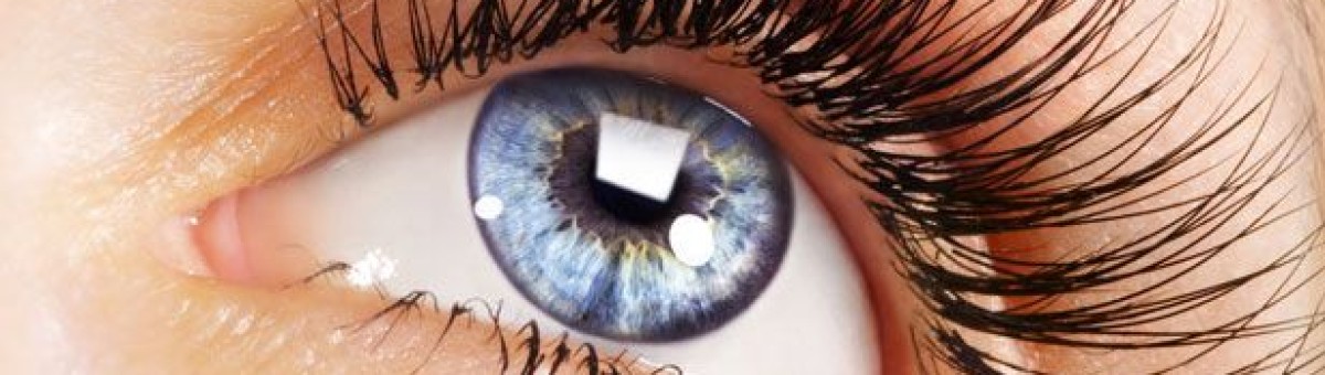Anatomie de l’œil