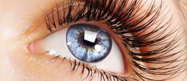 Anatomie de l&rsquo;œil