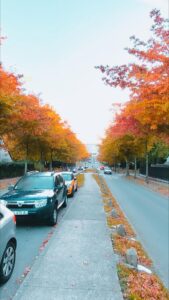 Santé Atlantique : l'automne s'invite et offre de bien belles couleurs !